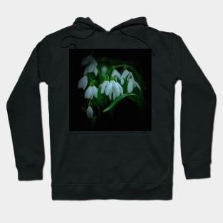 PERCE NEIGE - THE PIERCERS OF SNOW Hoodie